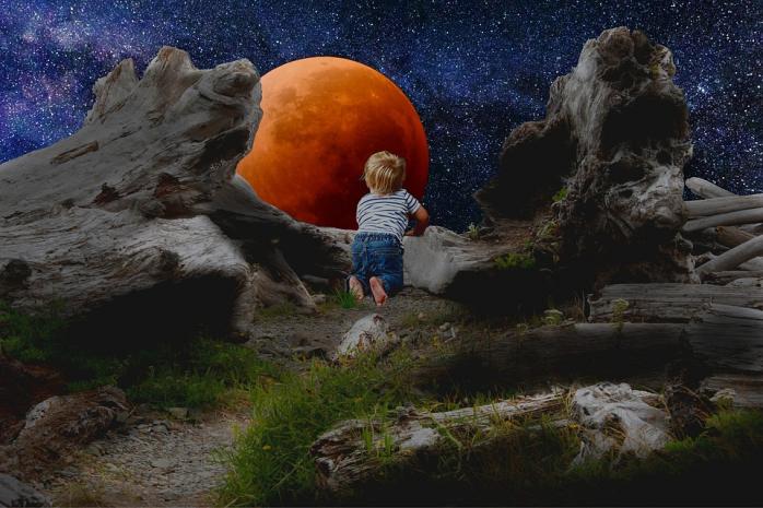 В ночь на 21 января в небе появится «кровавая Луна», фото: Max Pixel