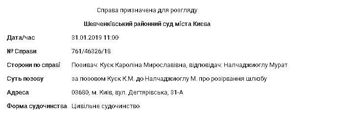 Ані Лорак розлучатиметься в Києві. Скріншот запису із реєстру справ, призначених до розгляду в Шевченківському райсуді.