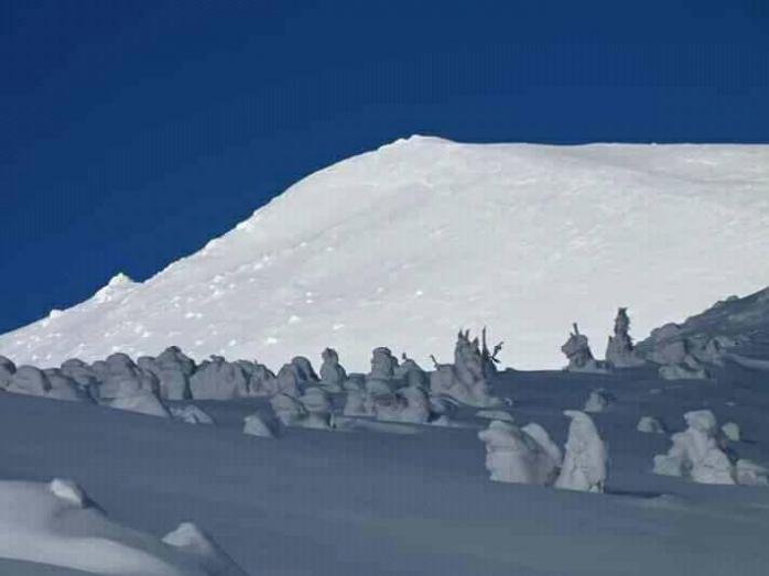 Снежные лавины накрыли несколько дорог на Закарпатье, фото — Фейсбук
