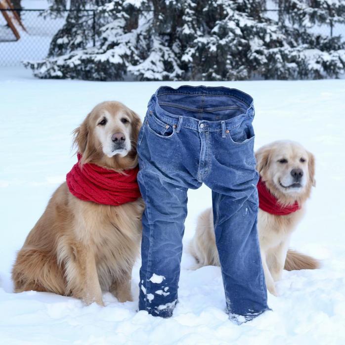#frozenpants: Американцы запустили флешмоб по замораживанию штанов. Фото: instagram.com/mypalooriginal/