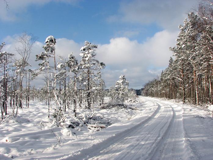 Погода в Украине зимой. Фото: flickr.com