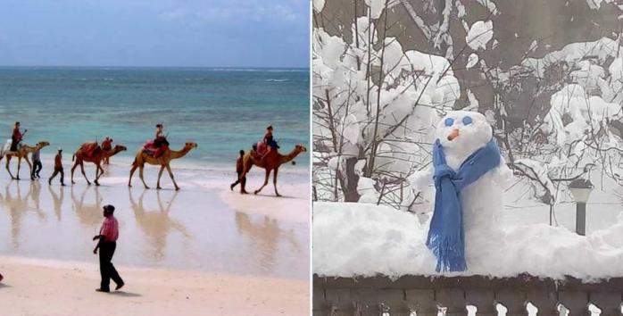 Африку замітає: сильні снігопади засипали сонячний Алжир / Фото: Facebook