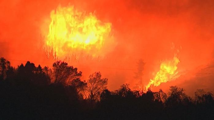 Лісова пожежа у Новій Зеландії: евакуйовано мешканців 170 будинків. Фото: YouTube
