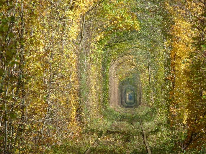 «Тоннель любви», фото: «Википедия»