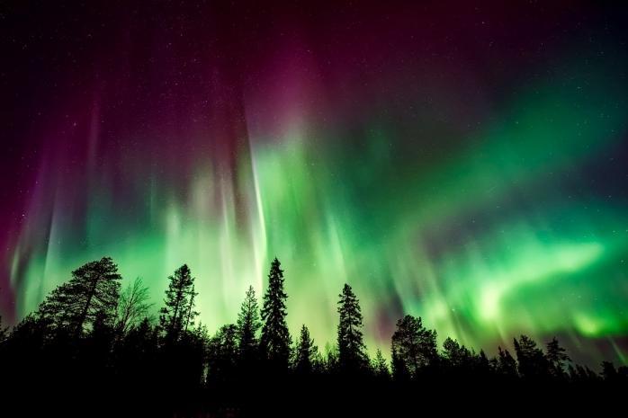 Космический подарок: изумрудно-зеленое северное сияние украсило небо Норвегии 