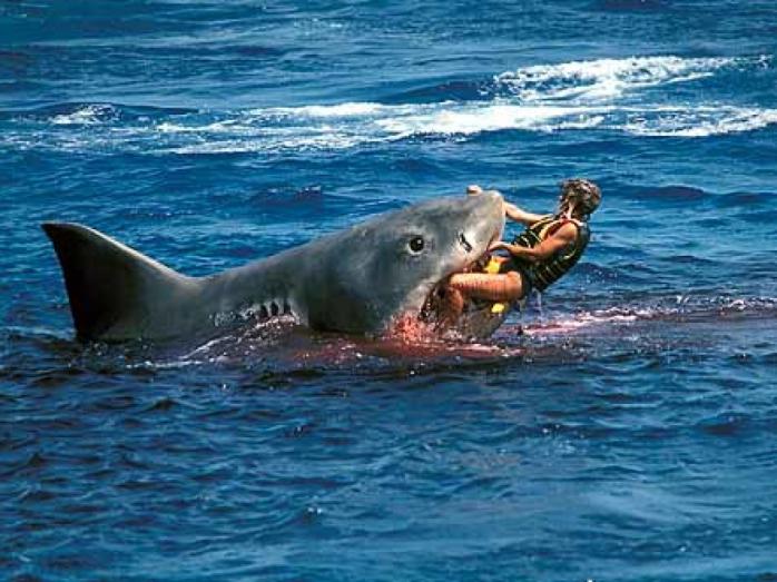 Австралиец смог вырваться из пасти акулы и добраться до берега. Фото: ГолосUA
