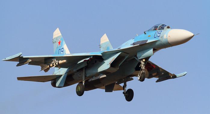 МИД Швеции вызвал посла России из-за опасного сближения Су-27, фото — ТСН