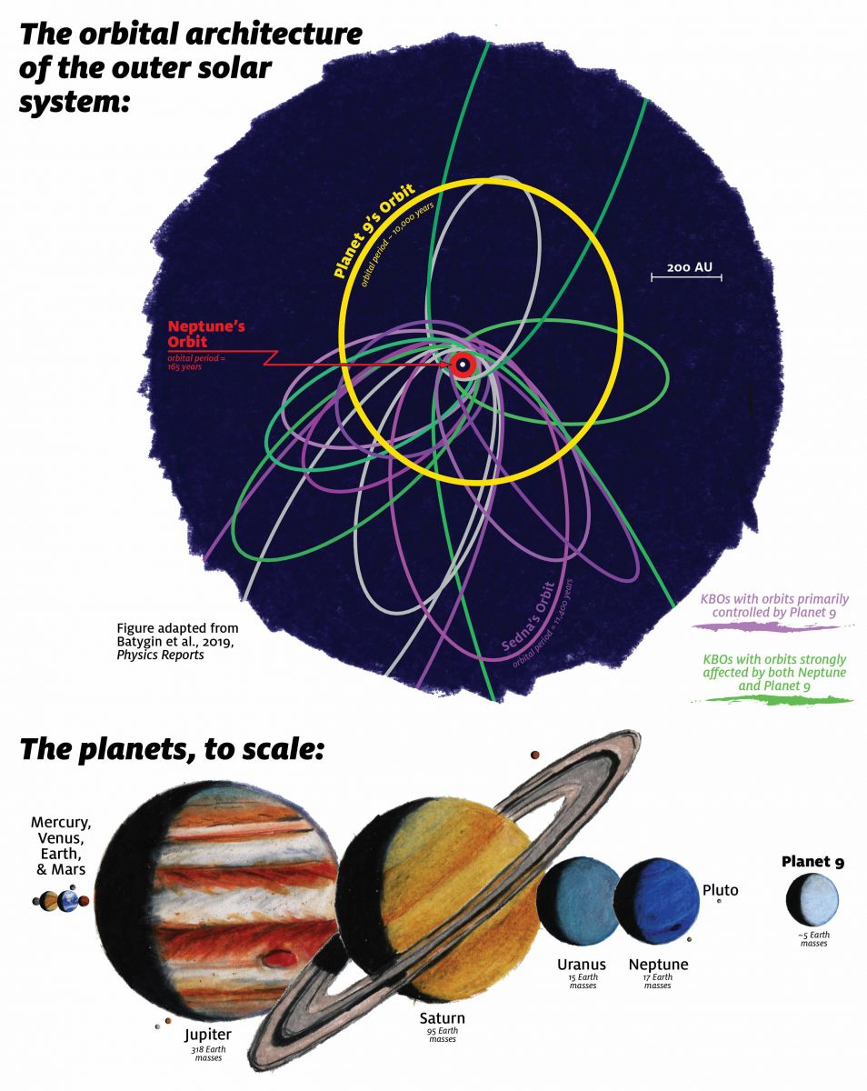 Такой может быть орбита загадочной девятой планеты, инфографика: Science Alert