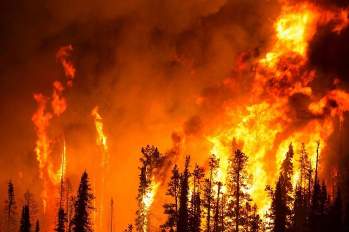Масштабні лісові пожежі охопили північ Іспанії. Фото: А42