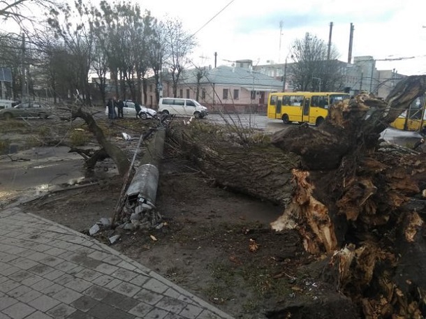 Последствия сильного ветра в Украине. Фото: gazeta.ua