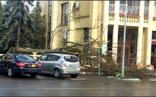 Наслідки сильного вітру в Україні. Фото: gazeta.ua