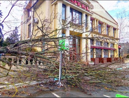 Наслідки сильного вітру в Україні. Фото: gazeta.ua
