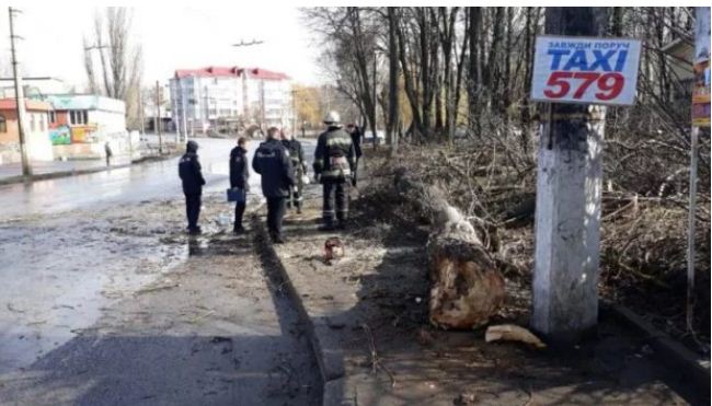 Шквальні вітри в Україні, Вінниця, фото — Думская