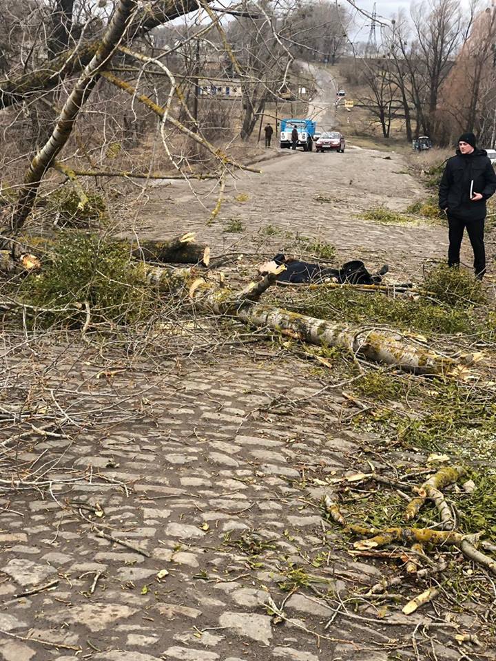 В результате падения дерева погибла молодая женщина. Фото: Хмільник.Info