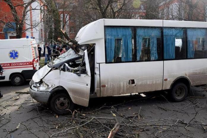 В Николаеве на маршрутку упало дерево, пострадали два ребенка и мужчина. Цензор.нет