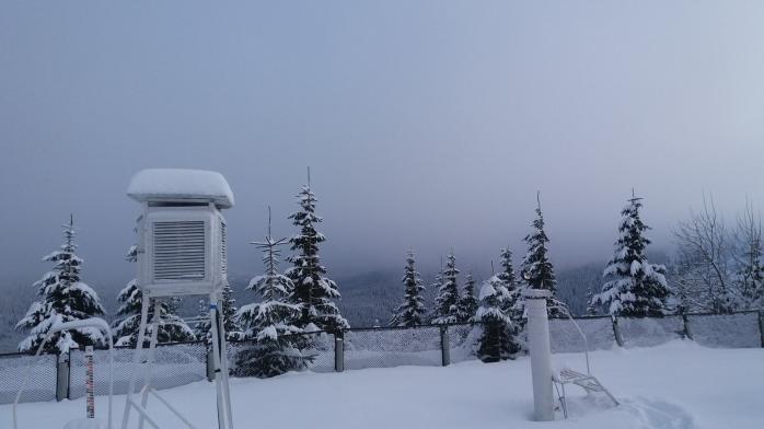 Снег заметает Карпаты, в горах объявлен высокий уровень снеголавинной опасности. Фото: facebook.com/lavyny.official/
