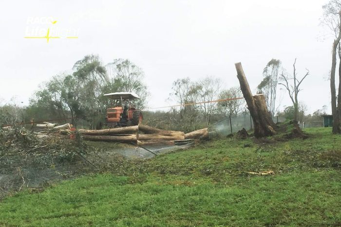 Дивом вижив: хлопця накрило поваленим деревом, яке раптово повернулося на місце після шторму/ Фото: RACQ LifeFlight Rescue