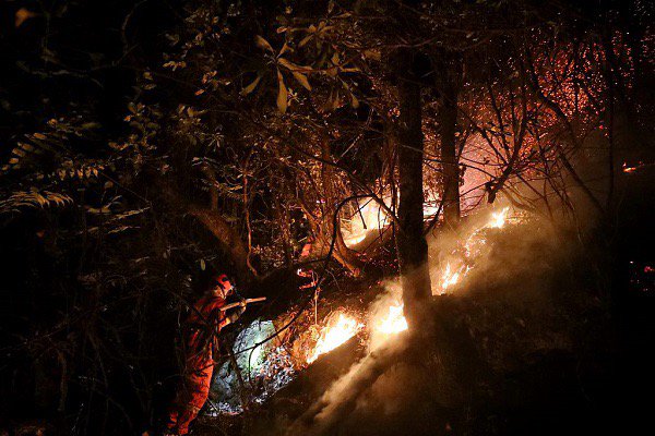 Лесной пожар начался вечером в субботу, фото: People’s Daily China