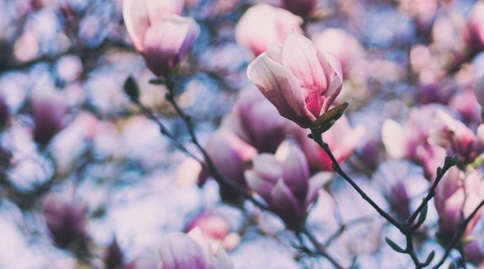 Яким буде квітень, розповіли синоптики. Фото: Lisa.ru