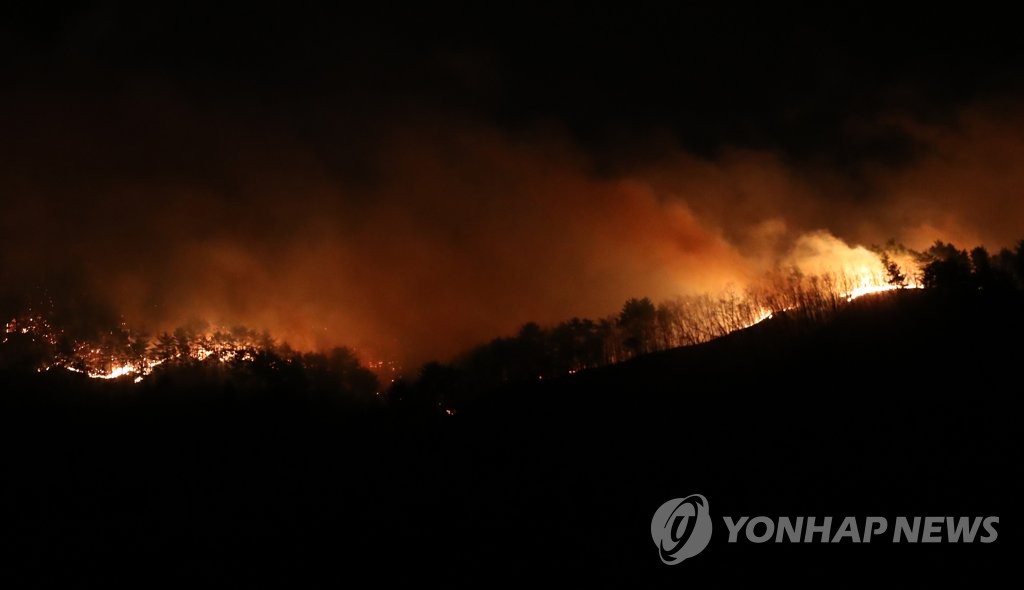 Лісові пожежі в Південній Кореї