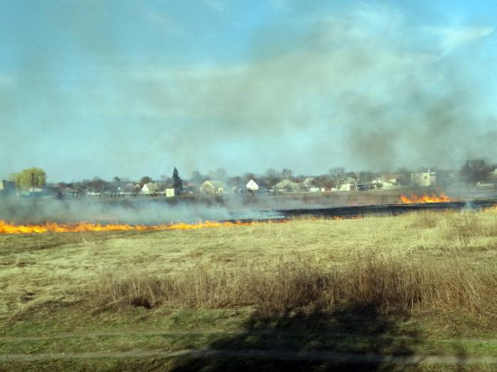 Сжигание сухой травы в Украине. Фото: ГСЧС