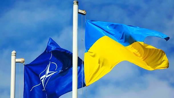  Украина продолжит сотрудничать с НАТО. Фото: novostipmr