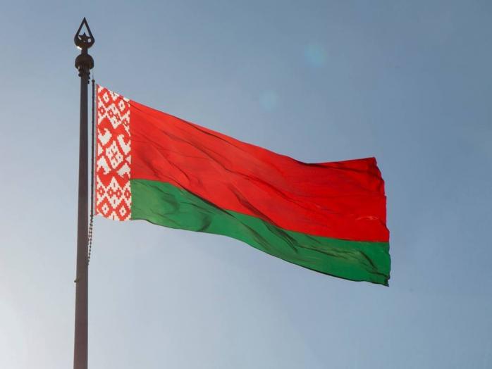 Досрочные парламентские выборы пройдут в Беларуси в 2019 году. Фото: Мир 24