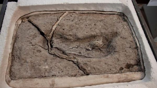 Самый древний след человека обнаружили в Чили. Фото: telesurtv.net