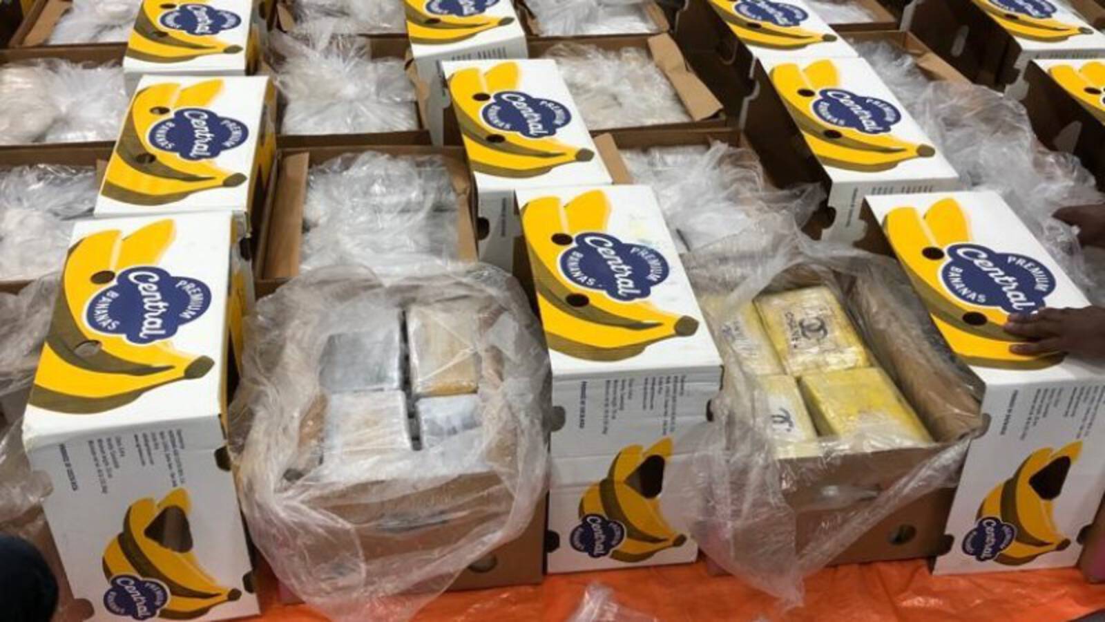 У партії бананів нідерландські митники виявили 1,6 т кокаїну. Фото: nos.nl