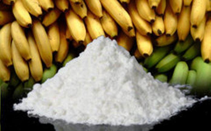 У партії бананів голландські митники виявили 1,6 т кокаїну. Фото: Today.kz 
