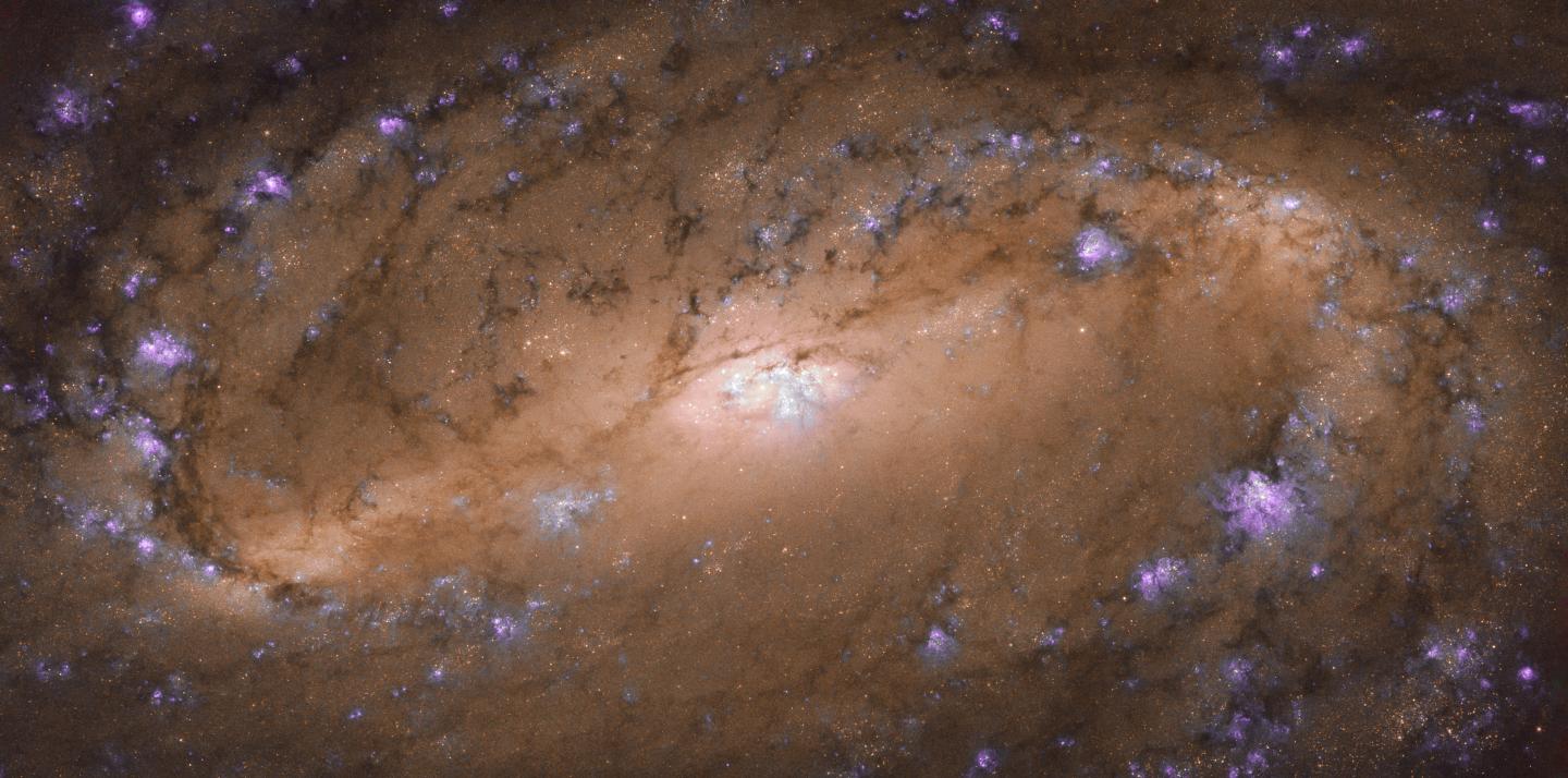 Галакатика NGC 2903, фото: EurekaAlert