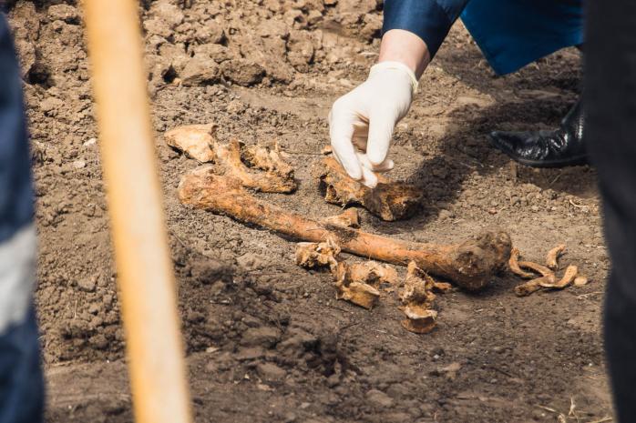 Людські кістки знайшли у клумбі біля університету в Дніпрі, фото — Інформатор 