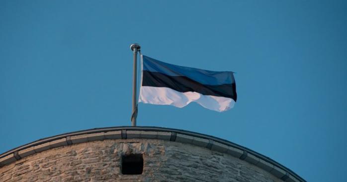 Эстония считает, что РФ не возвращает ей часть территории. Фото: Пункт европейской информации