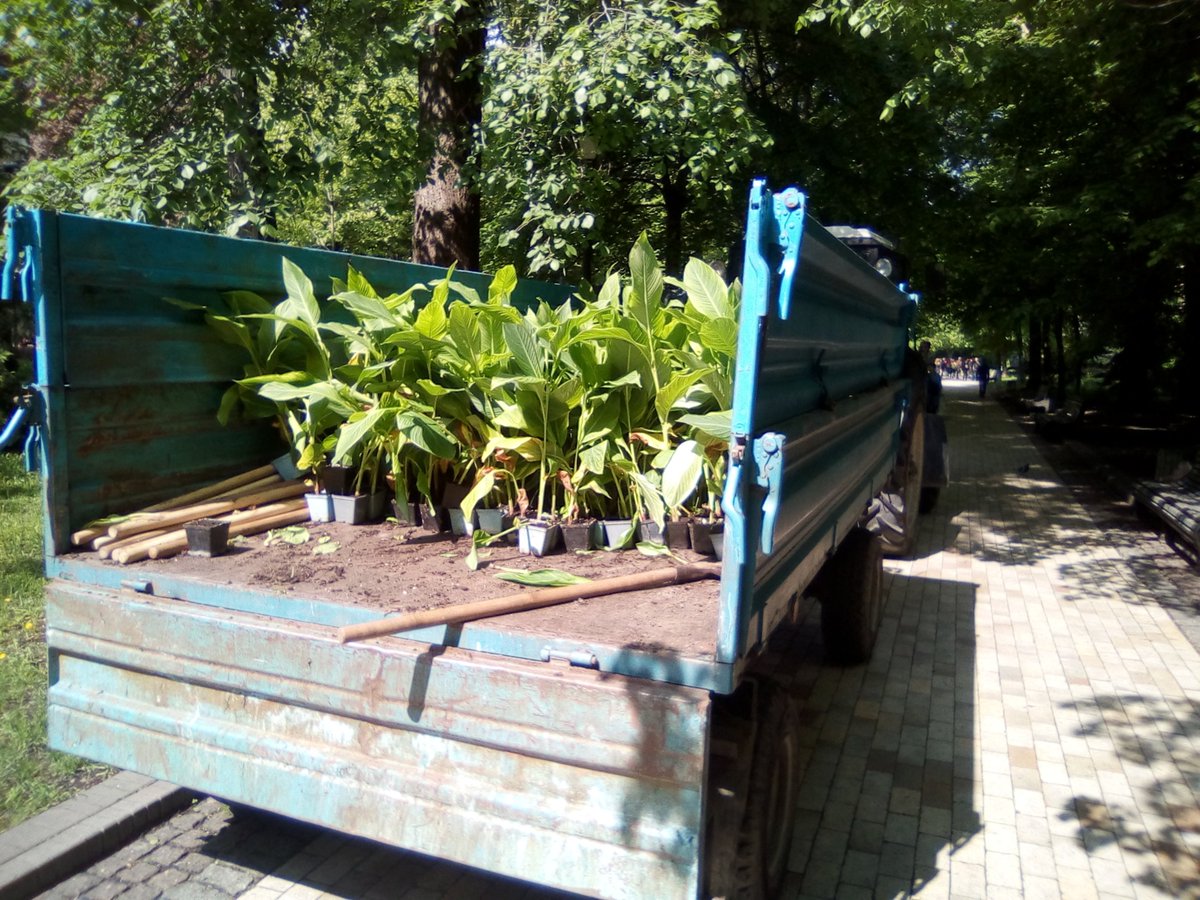 У Києві висаджують квіти для політв’язнів. Фото: Євген Солонина в Twitter