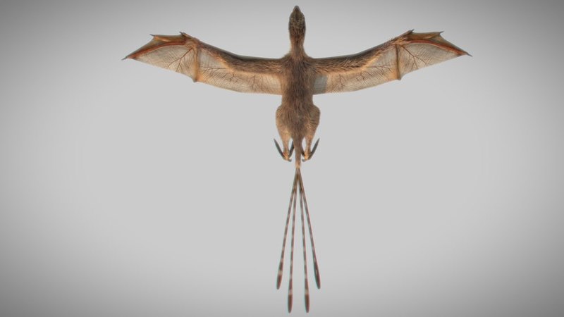 Динозавры с крыльями летучей мыши обитали 163 млн лет назад / Фото: Nature