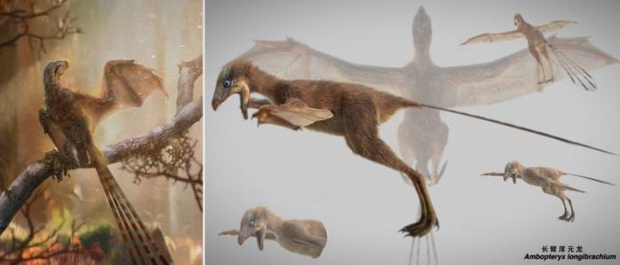 Новини науки: динозаври з крилами кажана населяли Землю 163 млн років тому