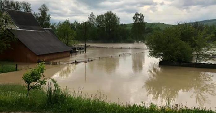 Наводнение на Прикарпатье. Фото: Галицкий корреспондент