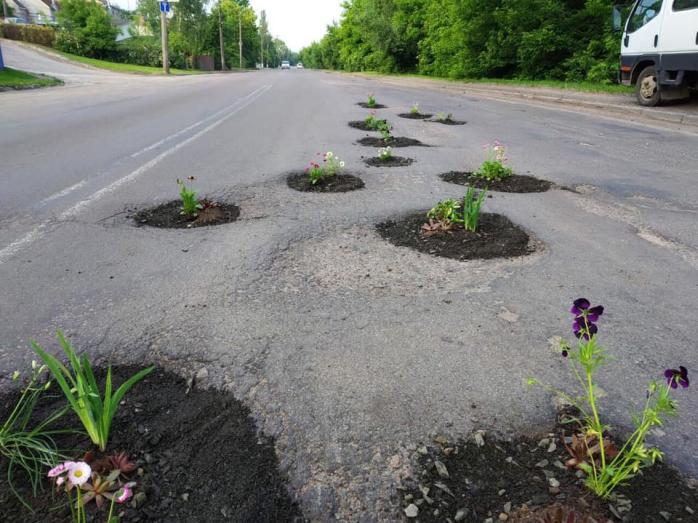 Ями на дорогах у Луцьку залатали квітами, фото — Фейсбук ГО «Розвиток мікрорайонів міста»