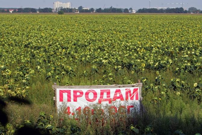Мораторий на продажу земли: Разумков сообщил о намерениях партии Зеленского, фото — КП
