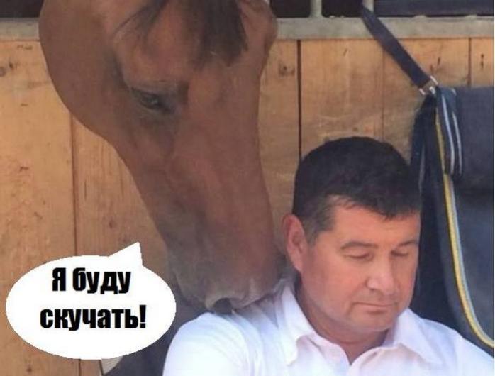 Суд разрешил идти на выборы «конному всаднику» Онищенко. Фото: Depo.ua