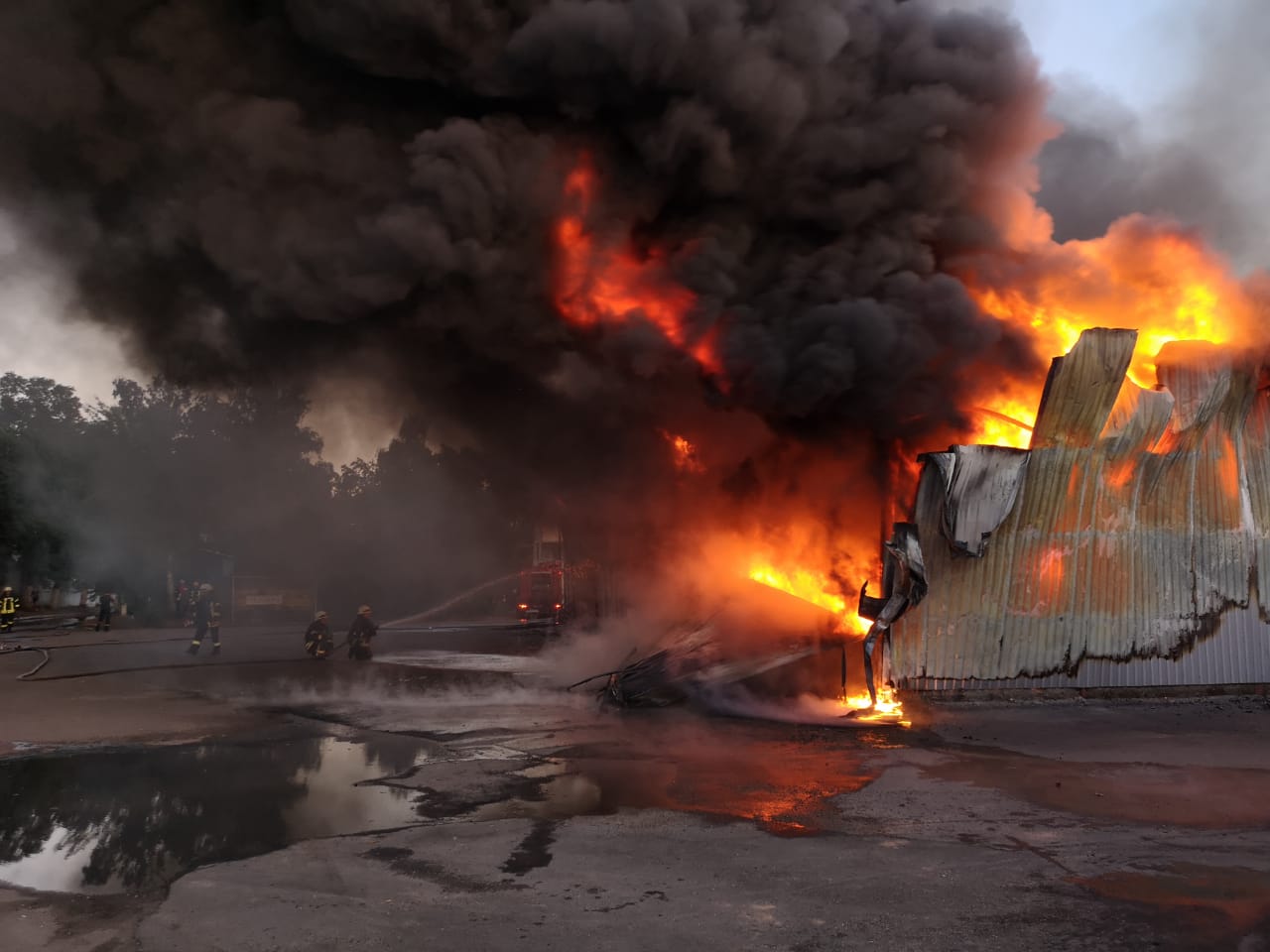 Пожежа під Києвом. Фото: ДСНС