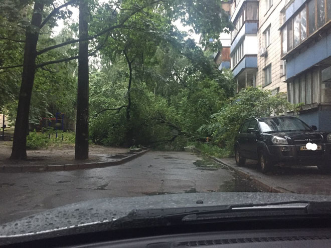 Непогода в Киеве. Фото: Информатор