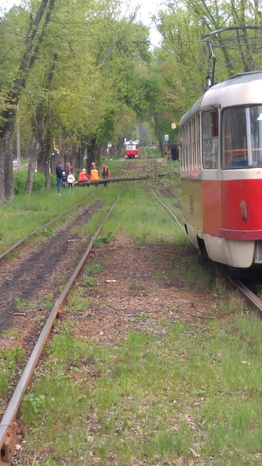 Непогода в Киеве. Фото: Информатор