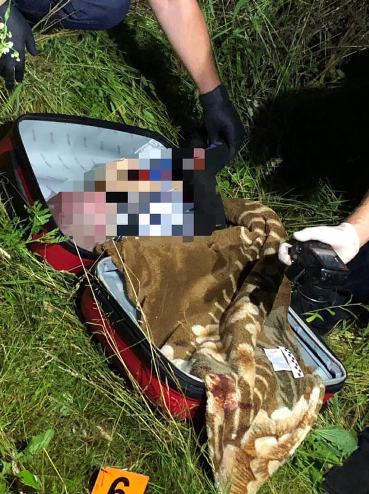 Чемодан с телом ребенка был спрятан в кустах, фото: Вячеслав Аброськин