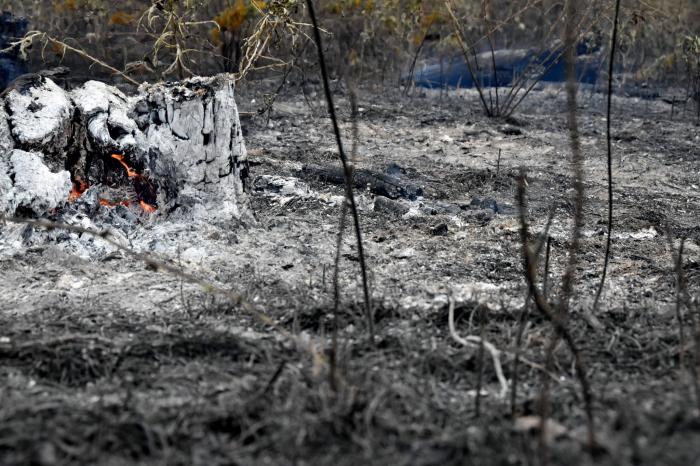 Во время пожара в зоне ООС, фото: пресс-служба операции Объединенных сил