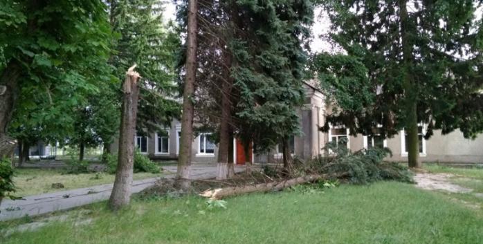 Піщана буря на Рівненщині залишила без електрики кілька десятків сіл, фото — Полісся 