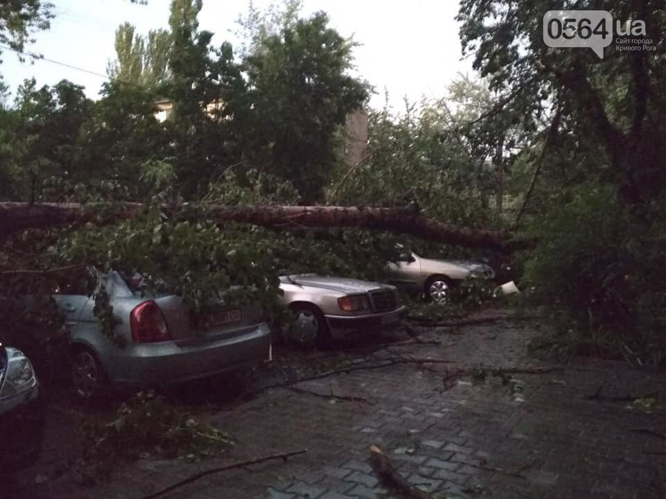 Погода в Украине: мощный ураган обесточили 500 населенных пунктов, есть пострадавшие. Фото: 0564.ua