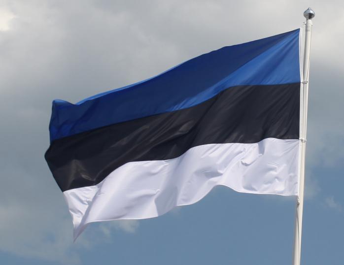 В Естонії назвали святкування визволення Таллінна в РФ провокацією і цинізмом. Фото: ИА Regnum
