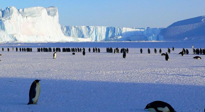 Шторми загрожують антарктичній кризі
