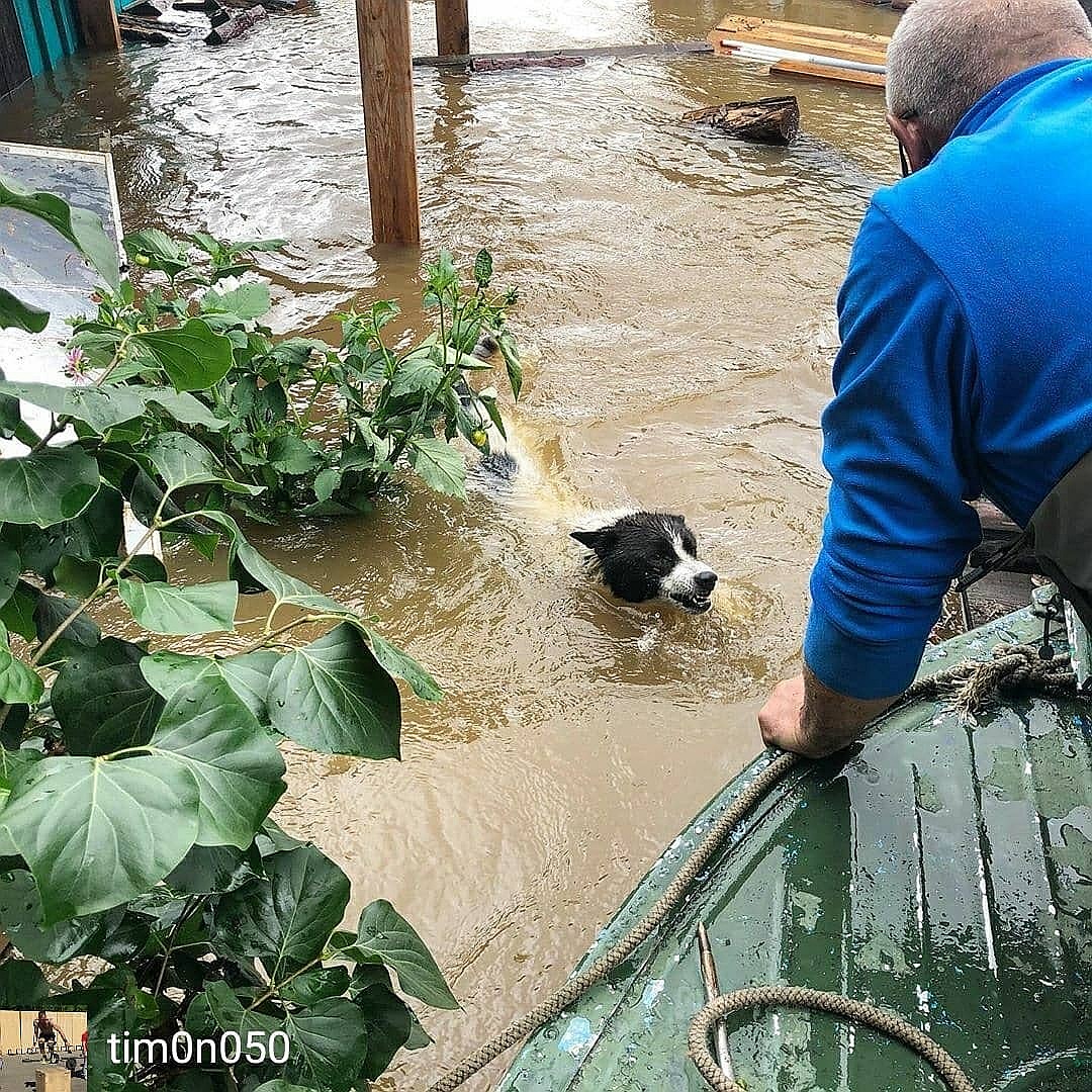 Росію затопило: повінь прийшла в Амурську область. Фото: Instagram